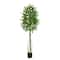 6.5ft. UV Resistant Artificial Ficus Tree (Indoor/Outdoor)